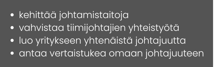 hyötyjä workshopista