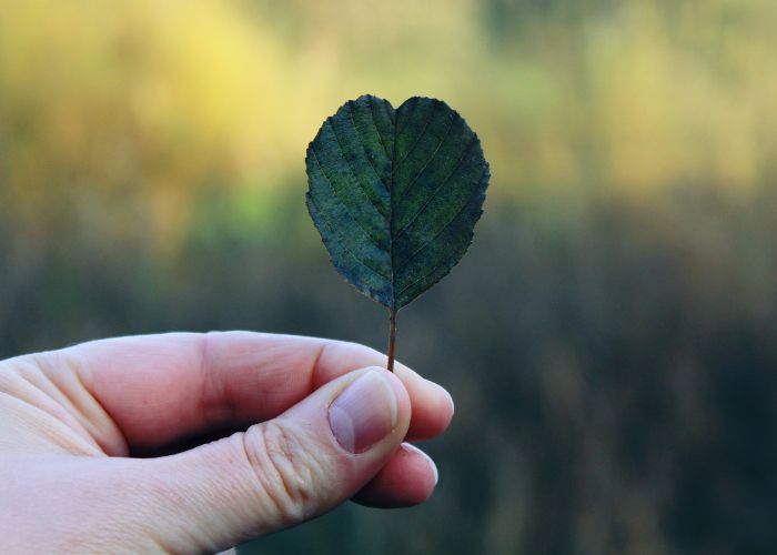 negatiivisten tunteiden tunnistaminen ja hyväksyminen